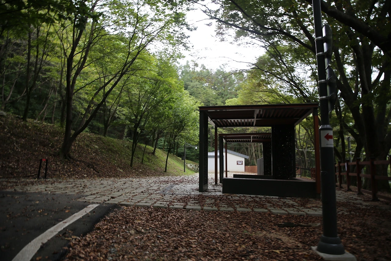 MG0A1038_новый размер.JPG