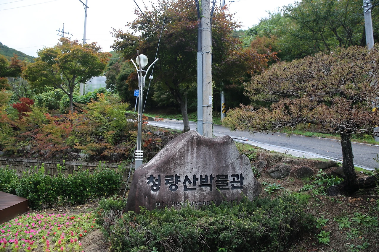 MG0A5890_новый размер.JPG