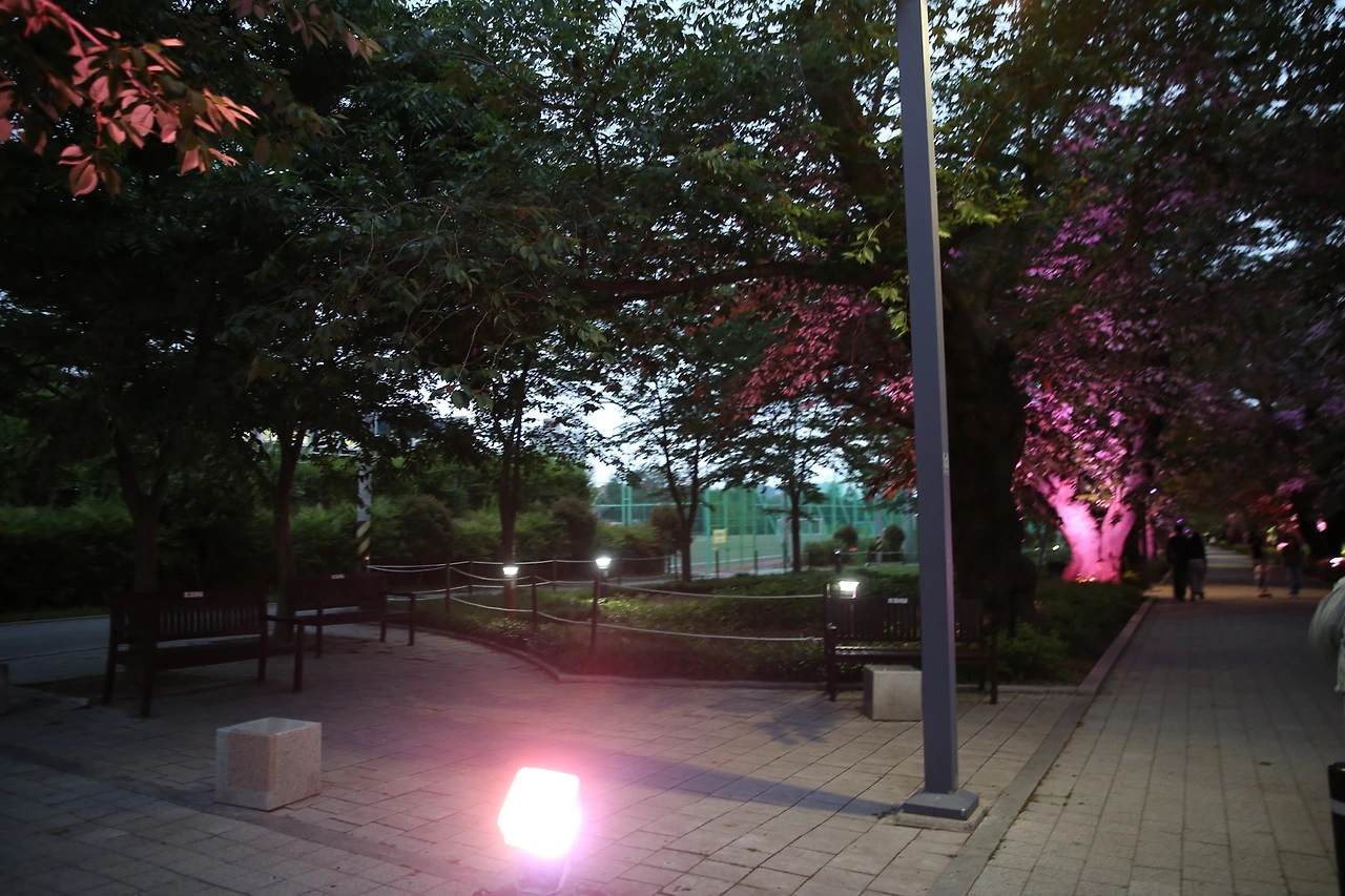 MG0A5590_новый размер.JPG