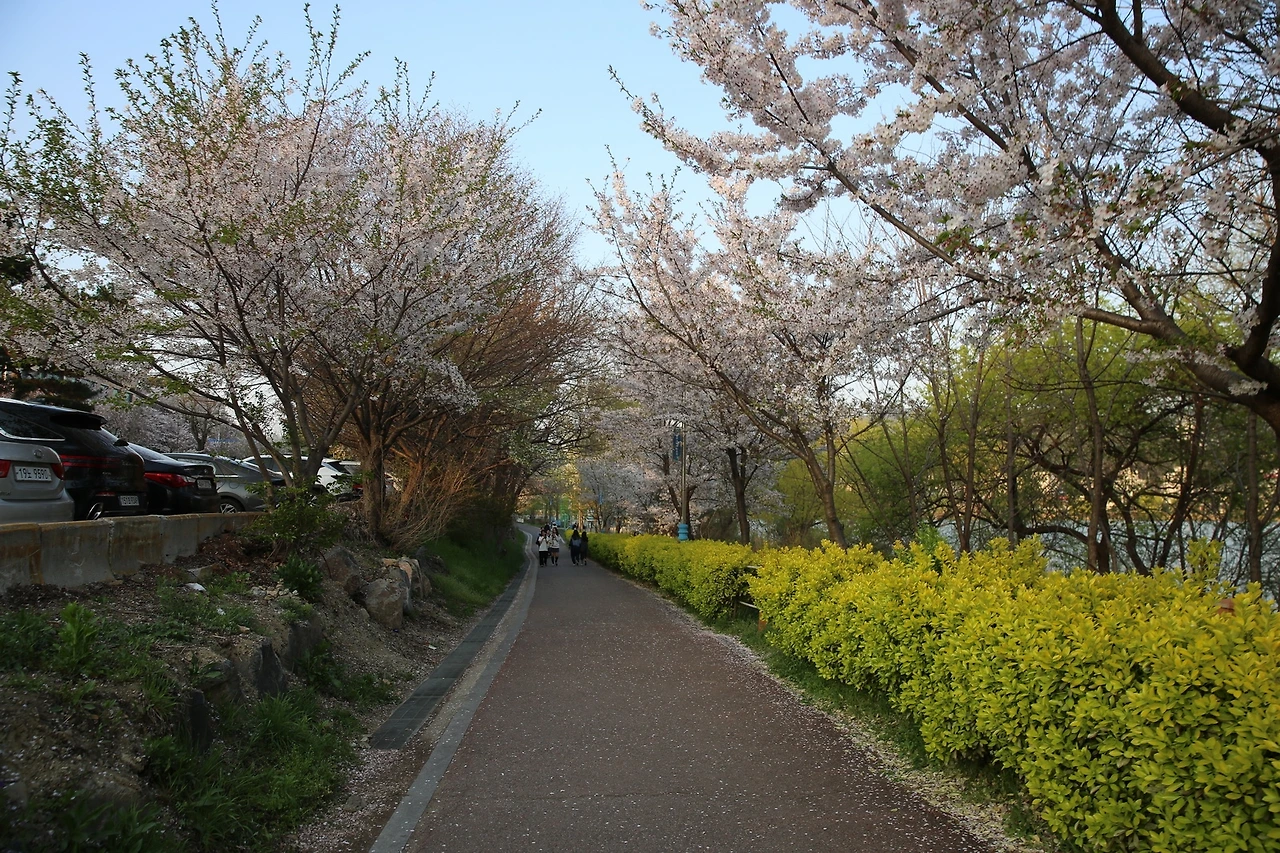 MG0A8908_новый размер.JPG