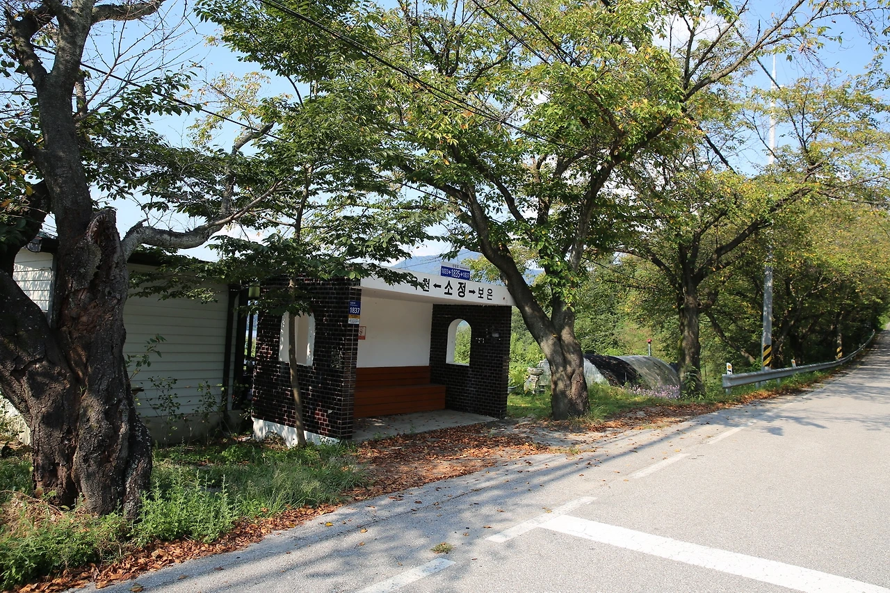 MG0A1559_новый размер.JPG