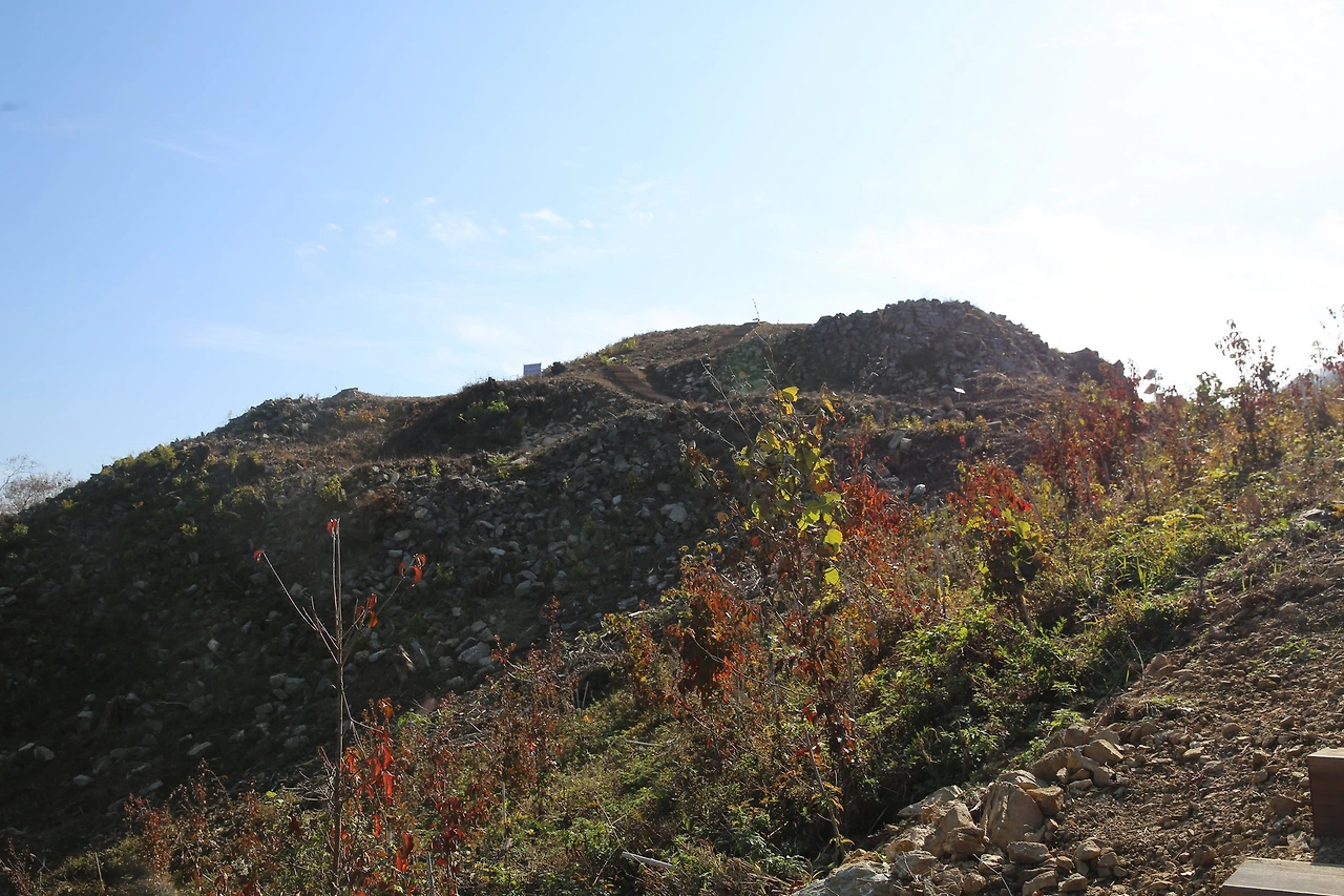 MG0A9991_новый размер.JPG