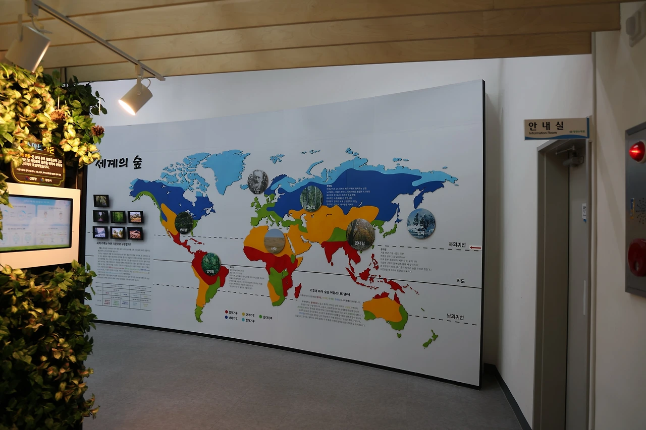 0R5A4552_новый размер.JPG