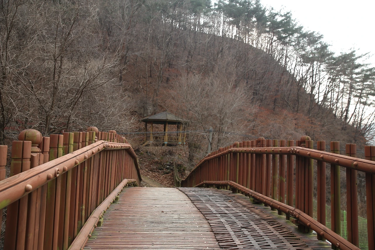 MG0A6413_новый размер.JPG