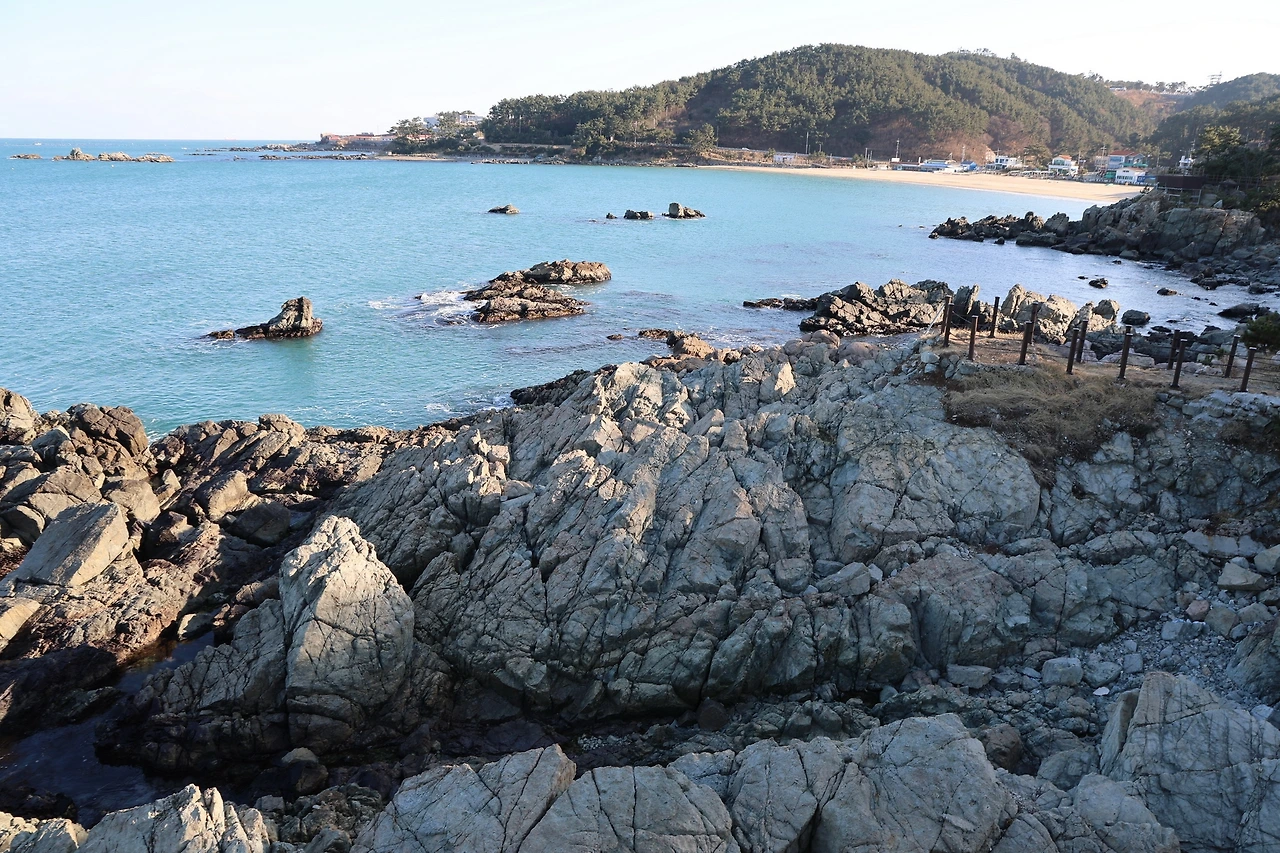 0R5A7905_новый размер.JPG