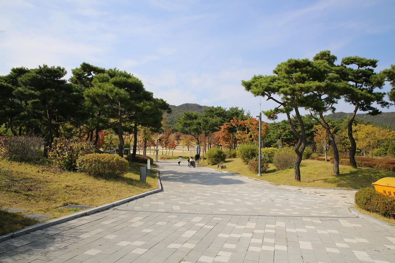 MG0A7308_новый размер.JPG