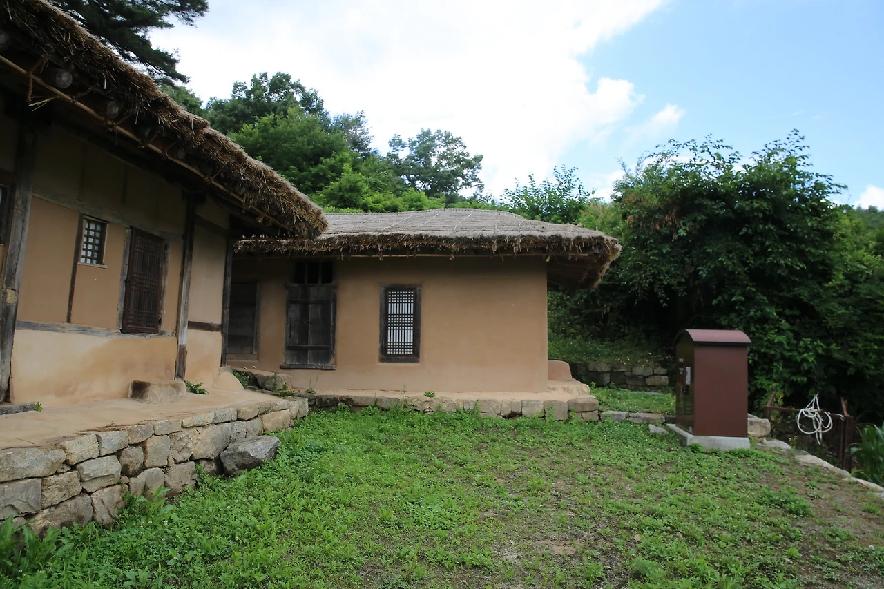 MG0A0456_новый размер.JPG