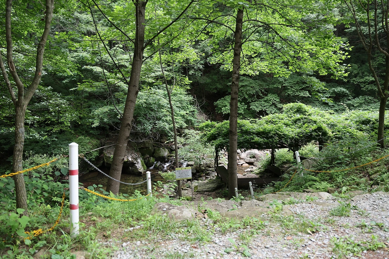 0R5A7506_новый размер.JPG