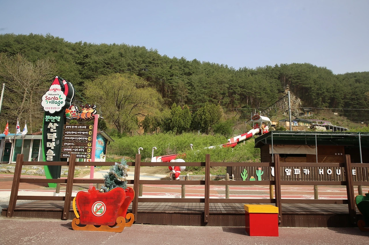 MG0A0042_новый размер.JPG