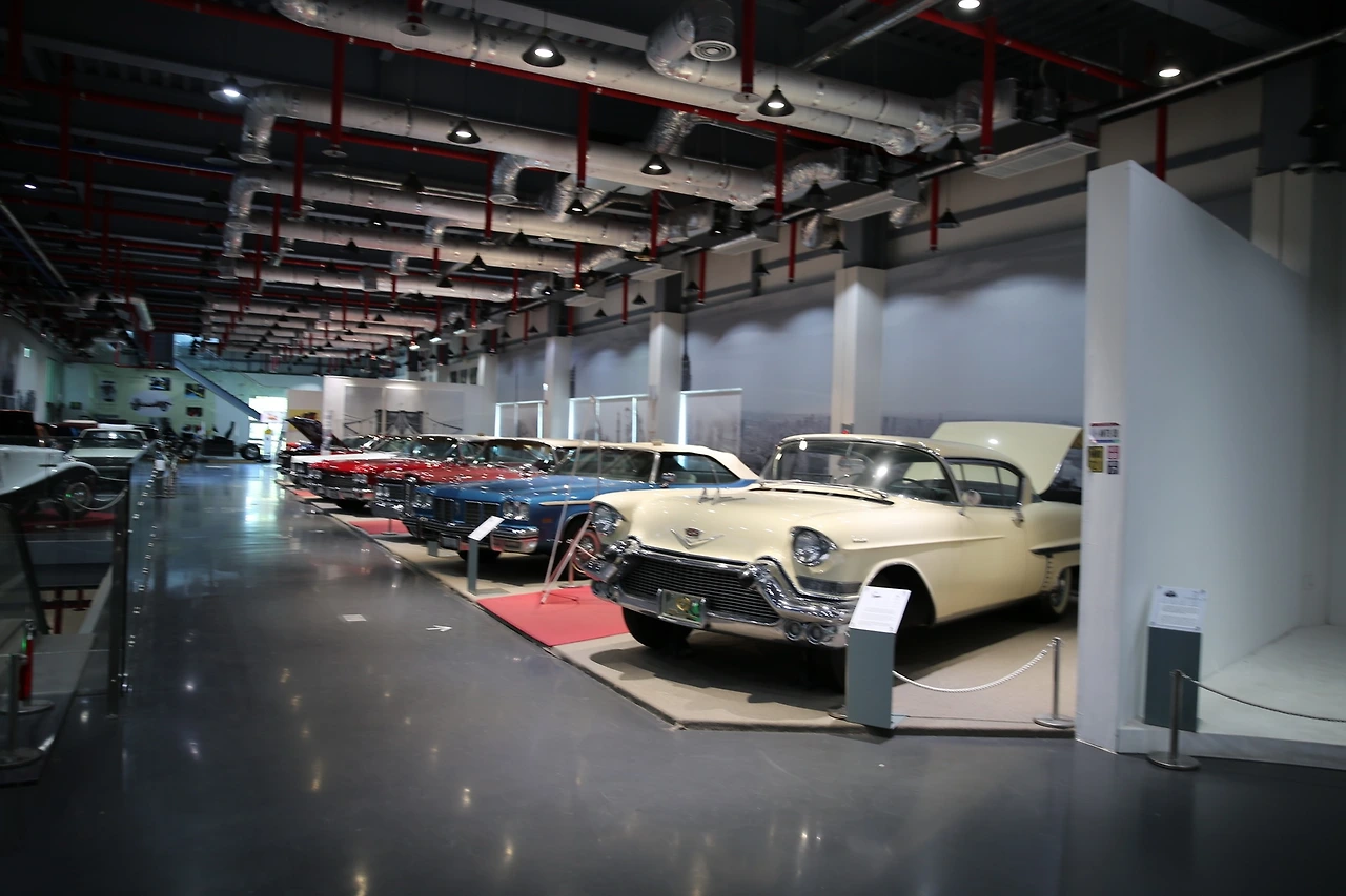 MG0A6922_новый размер.JPG