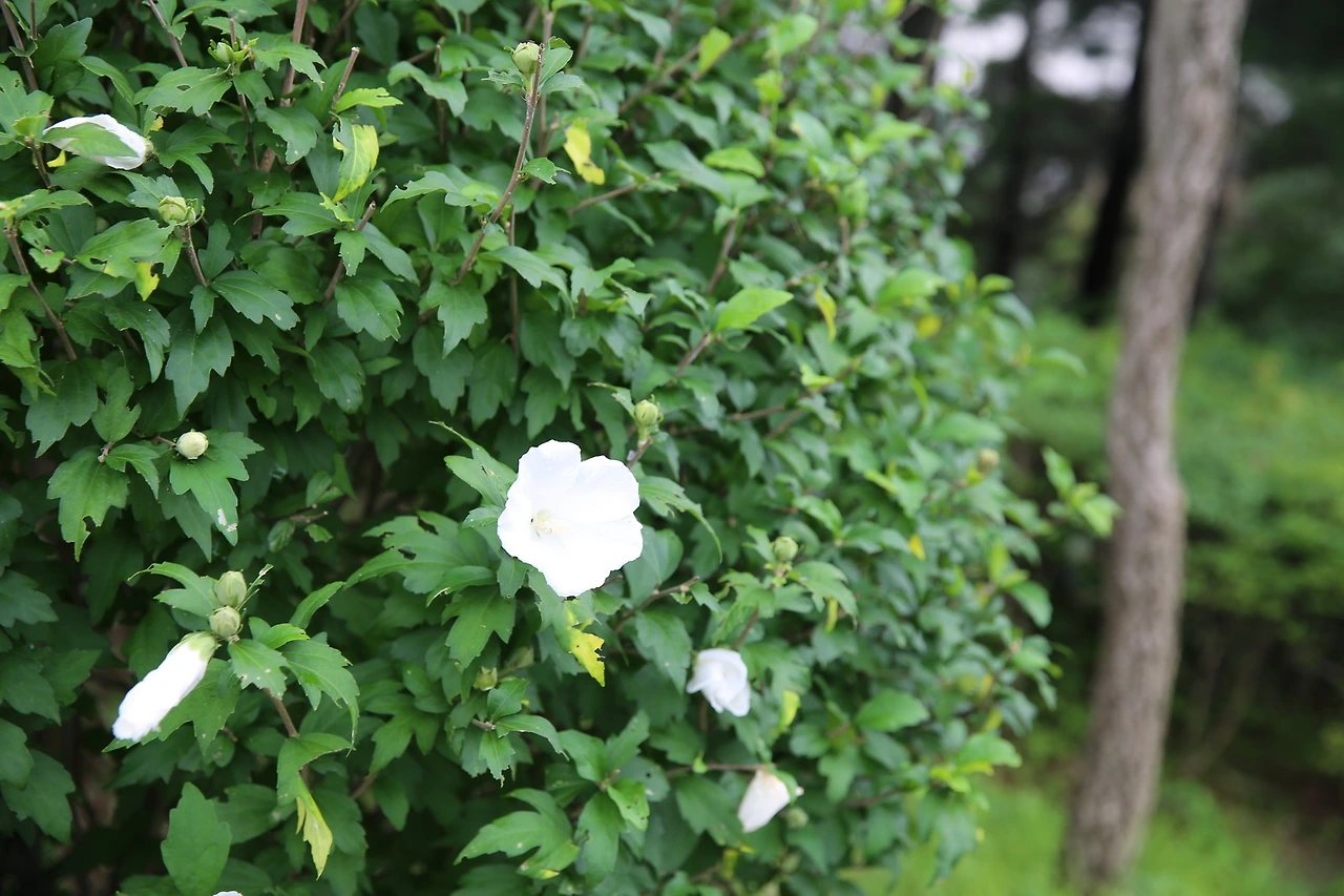 MG0A8711_новый размер.JPG