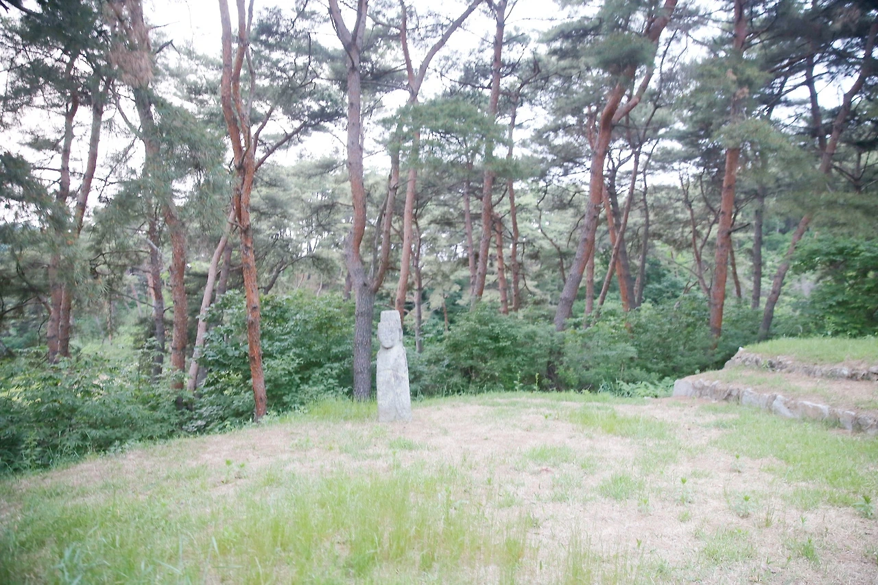 MG0A1219_новый размер_exposure.JPG