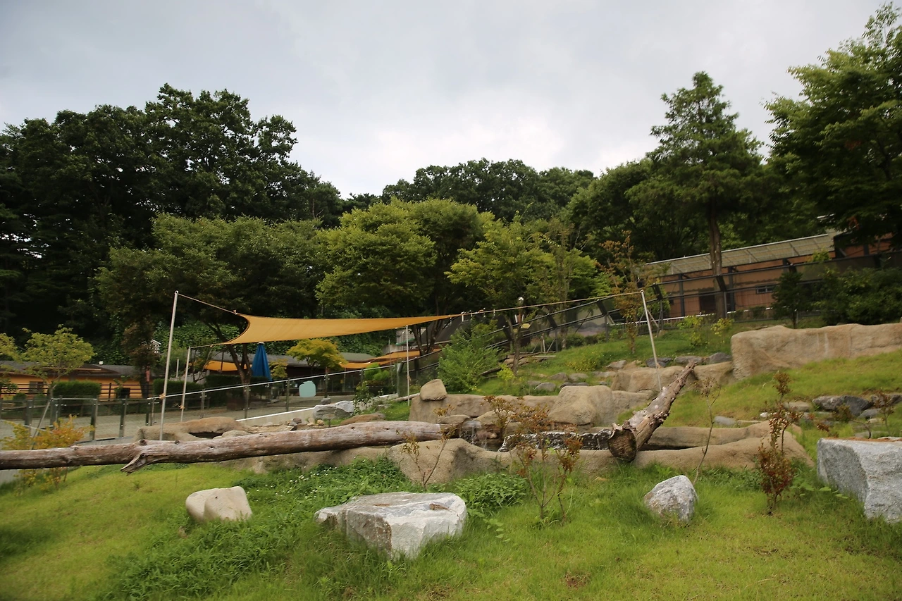 MG0A9601_новый размер.JPG