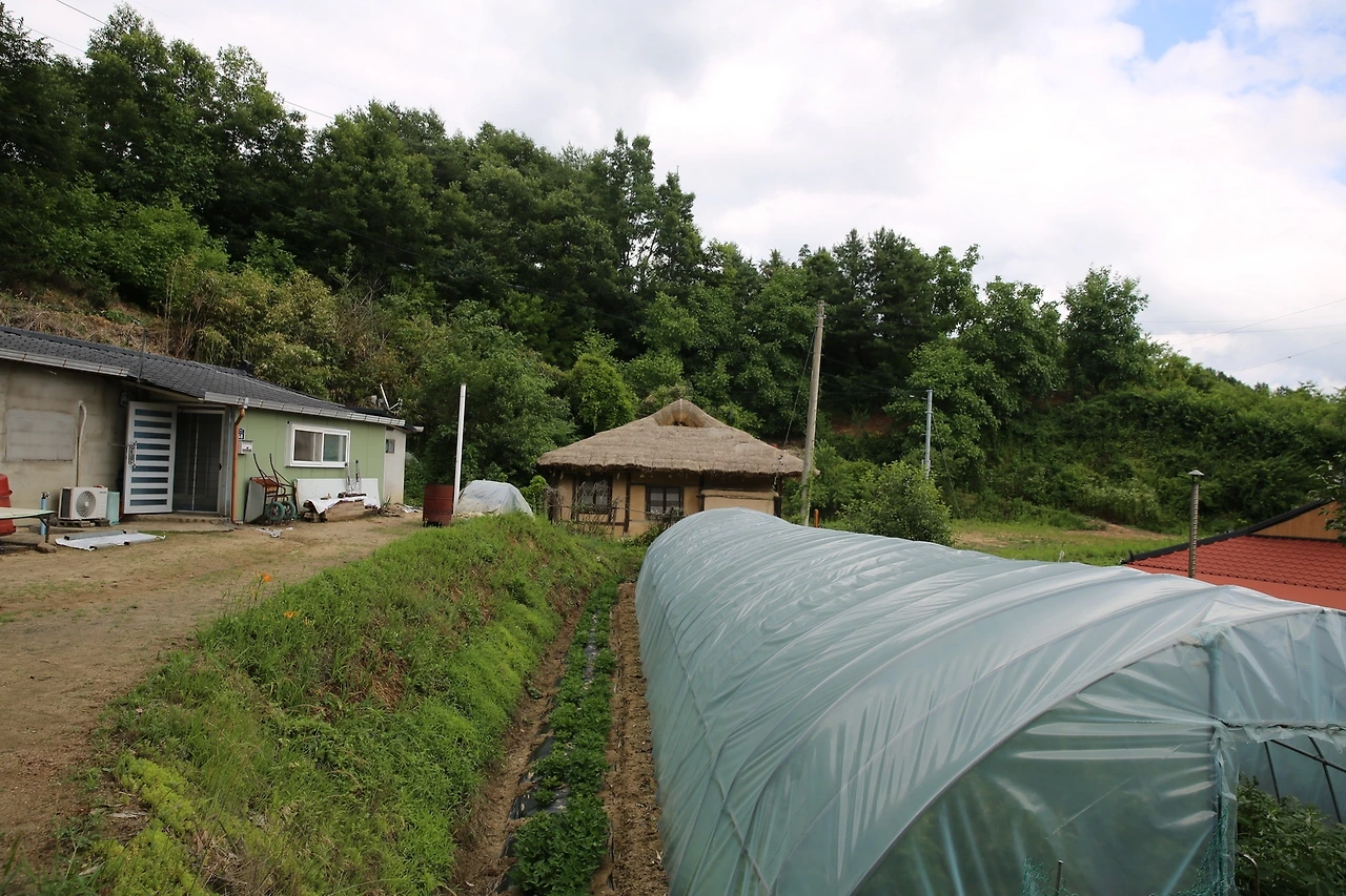 MG0A0459_новый размер.JPG