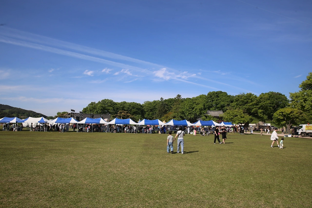 MG0A2798_новый размер.JPG