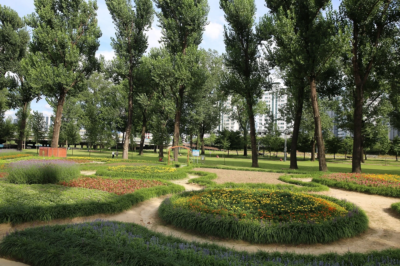 MG0A4476_новый размер.JPG