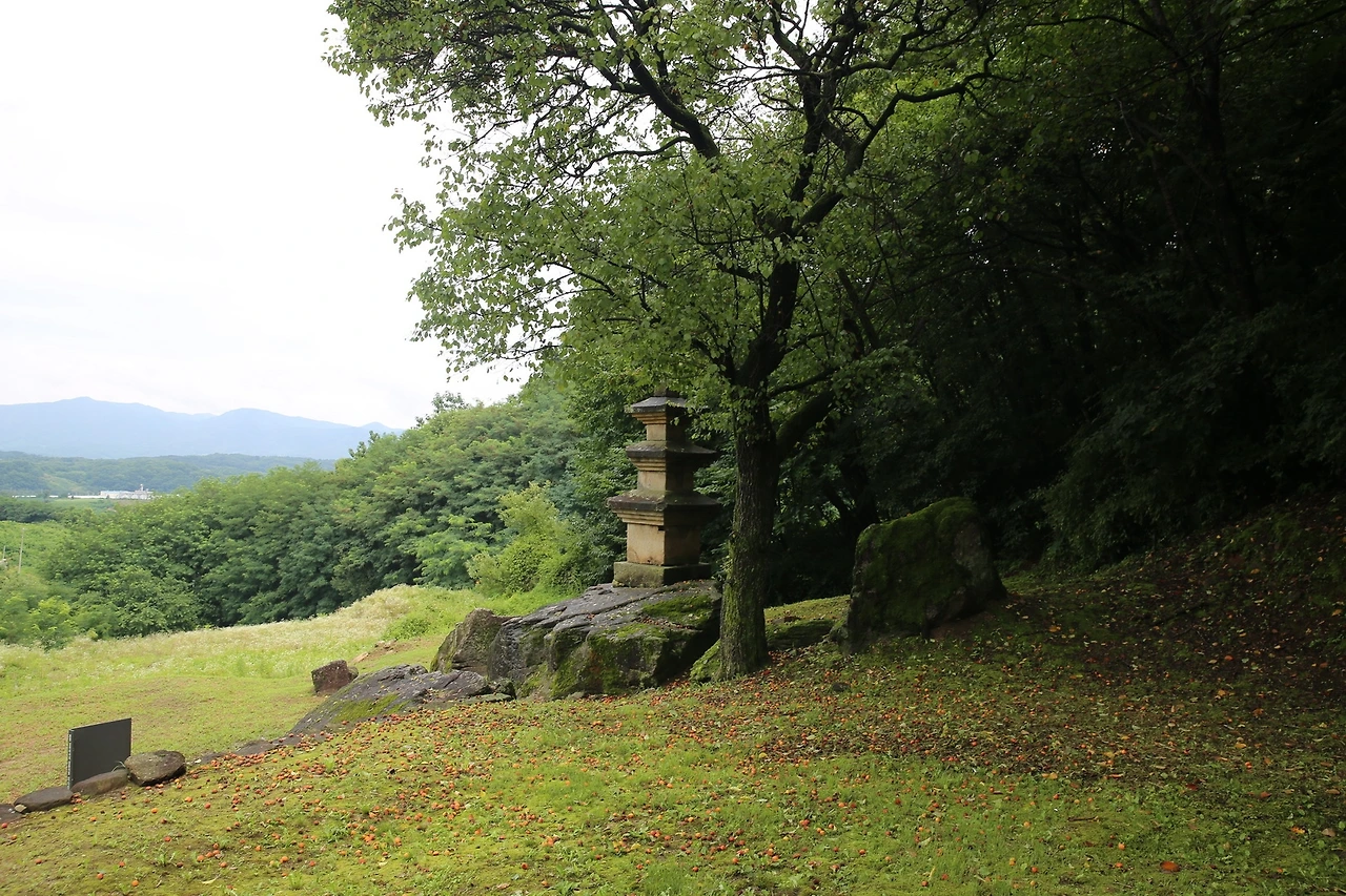 MG0A4714_новый размер.JPG