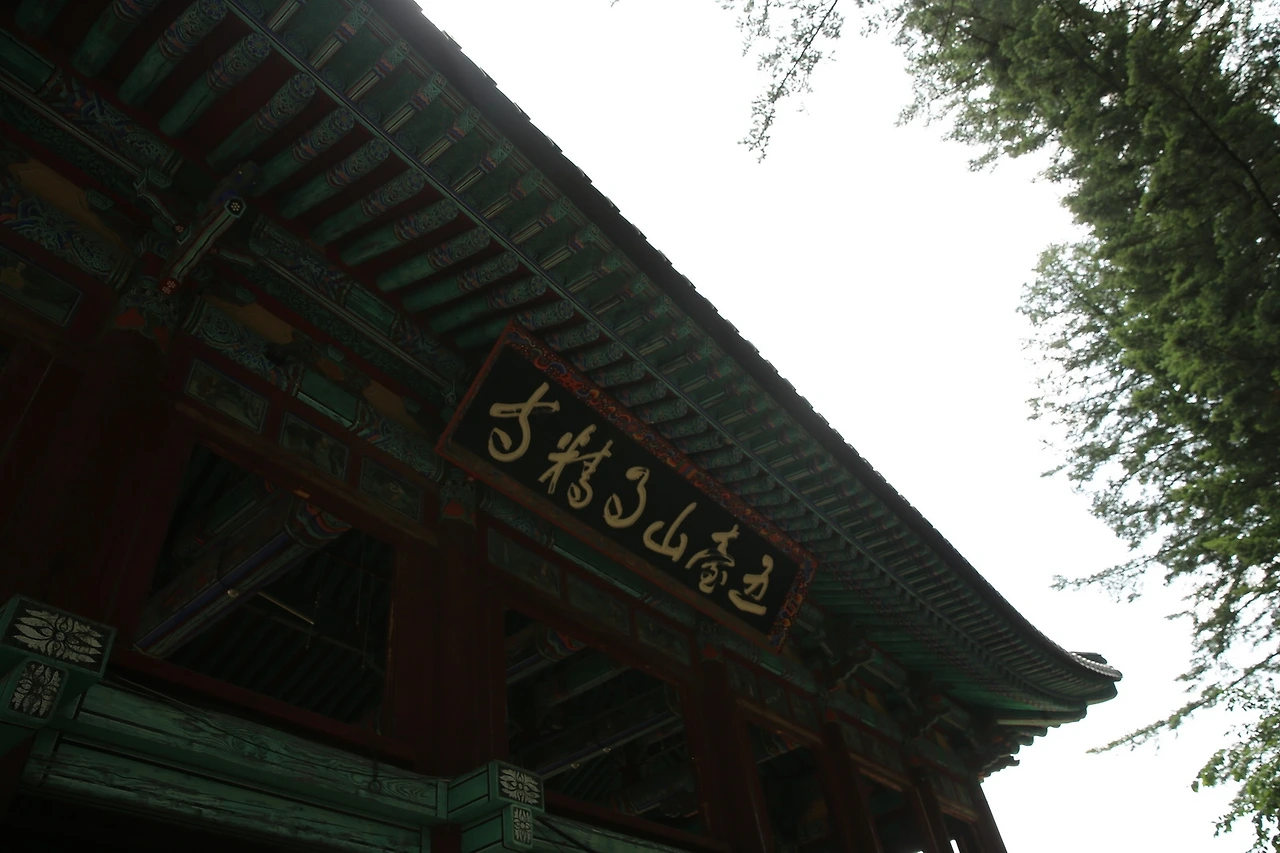 MG0A0777_новый размер - 복사본.JPG