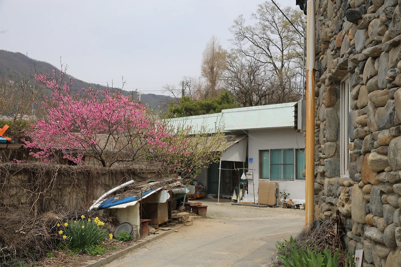 MG0A8528_новый размер.JPG