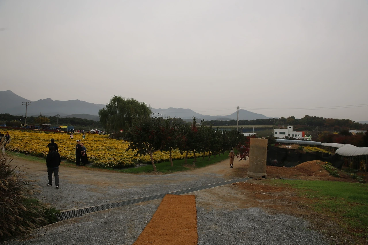 MG0A9616_новый размер.JPG