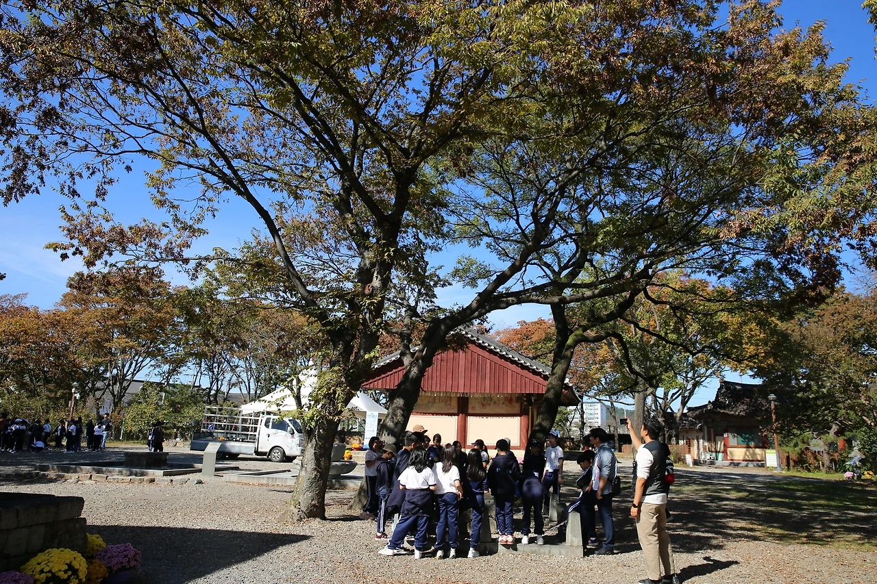 MG0A6774_новый размер.JPG