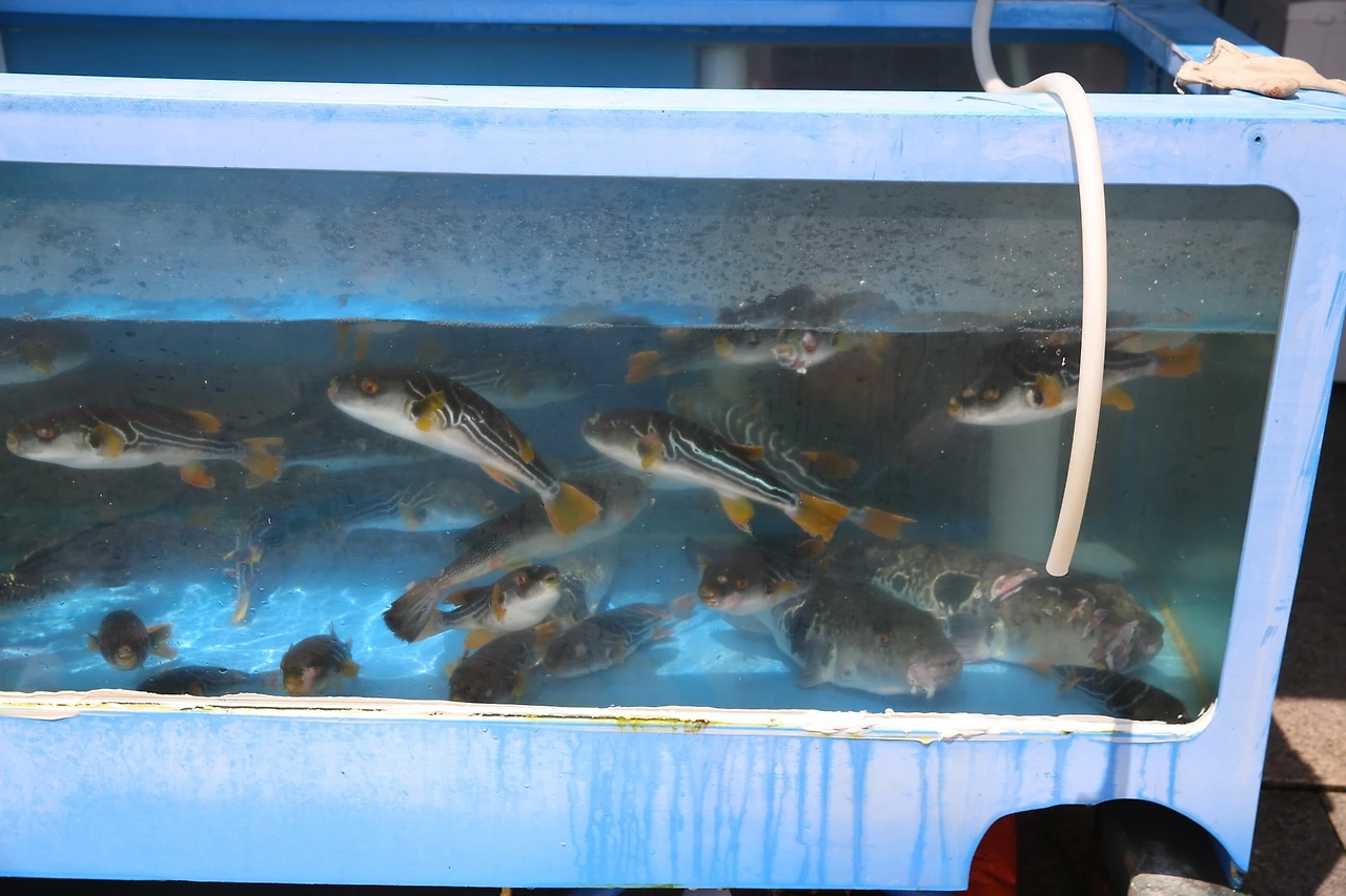 MG0A0235_новый размер.JPG