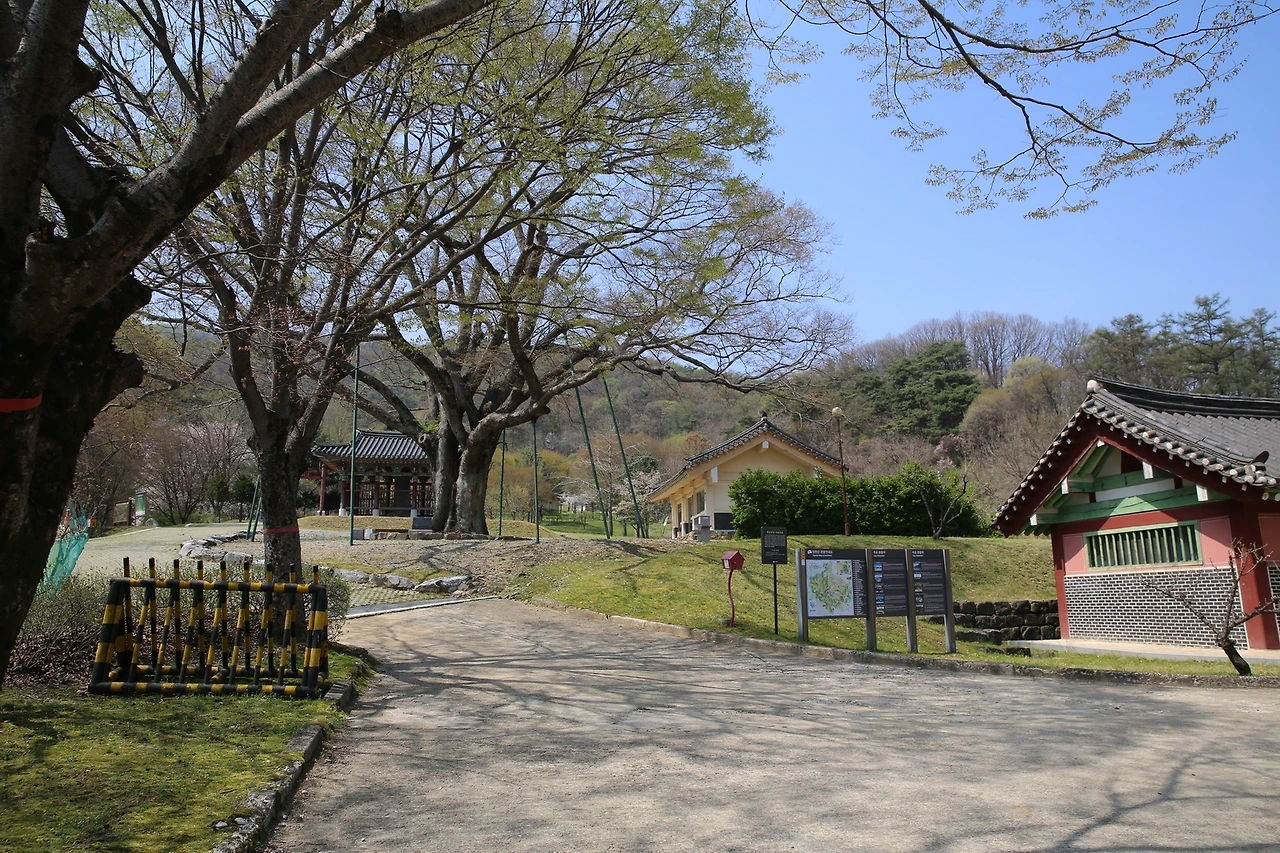 MG0A8618_новый размер.JPG