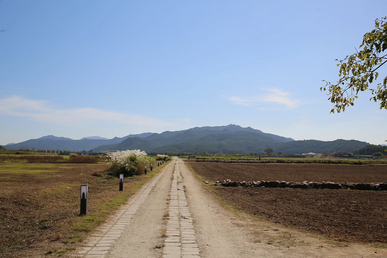 MG0A6765_новый размер.JPG