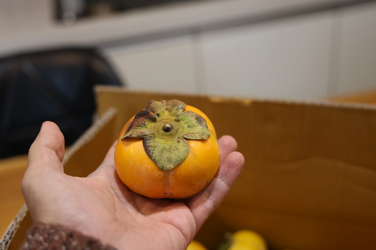 0R5A2318_новый размер.JPG