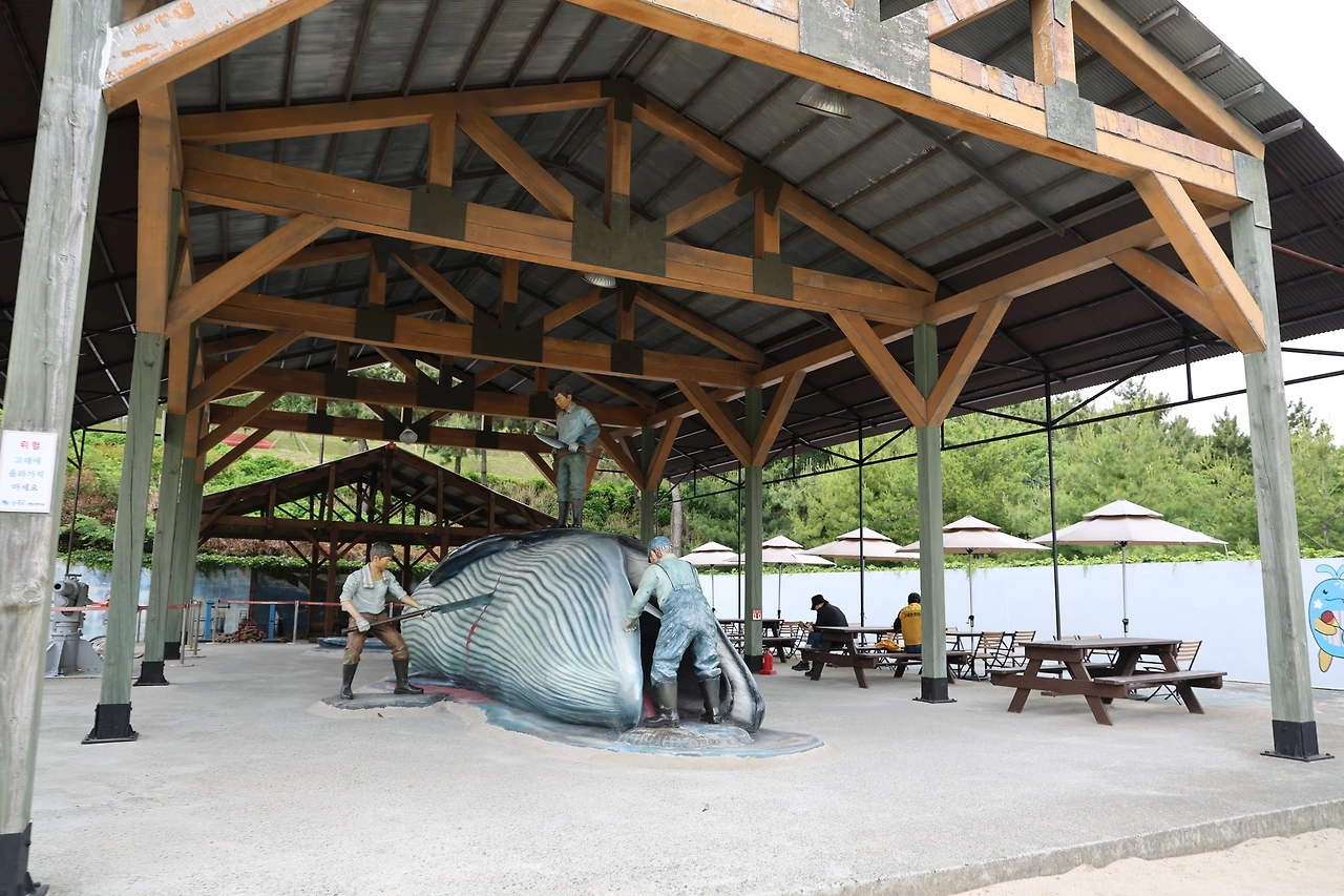 0R5A2480_новый размер.JPG