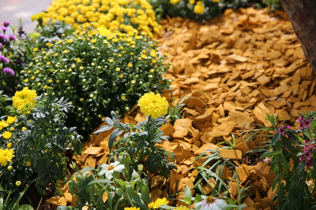 MG0A2715_новый размер.JPG