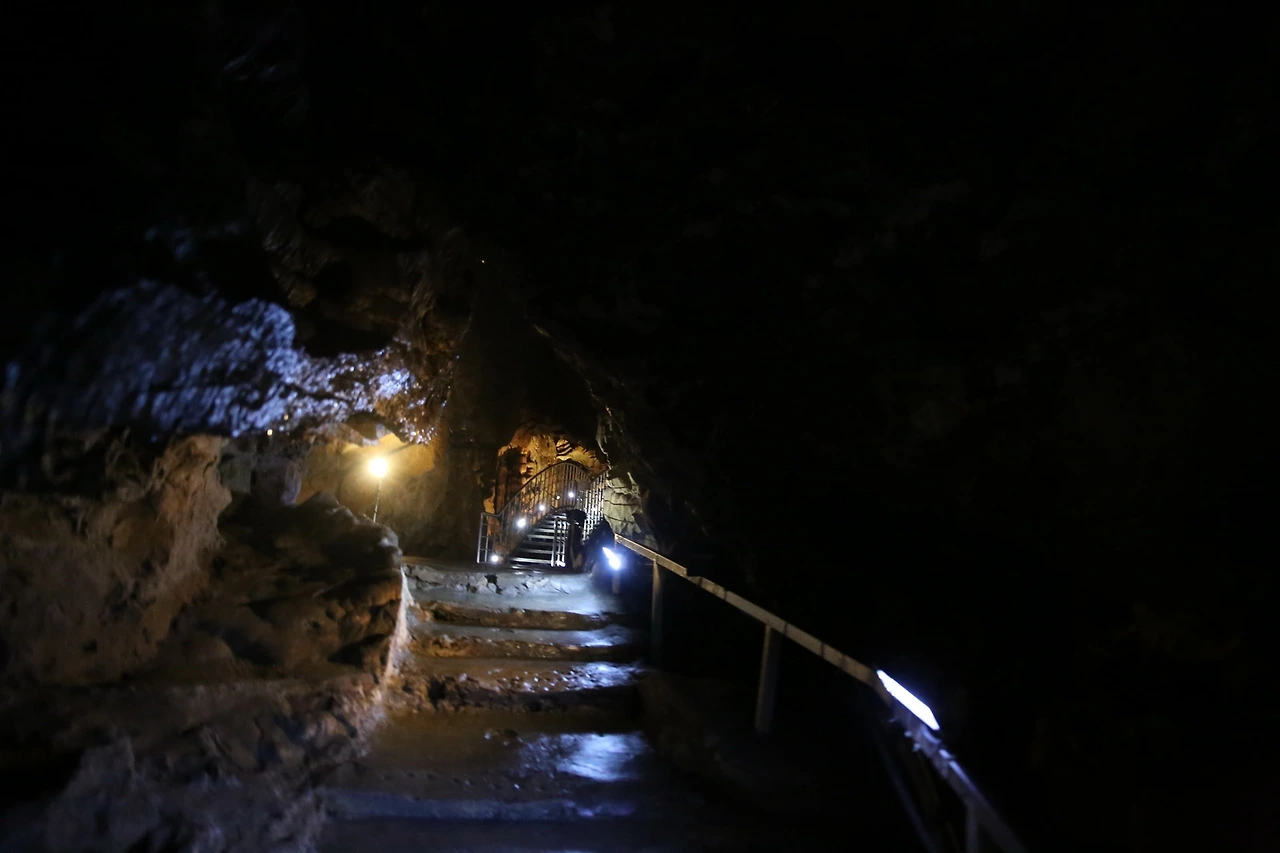 MG0A9739_новый размер.JPG