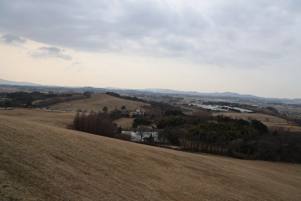 0R5A2819_новый размер.JPG