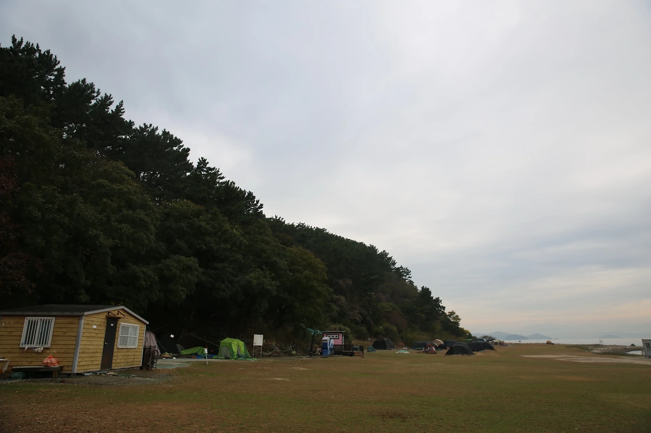 MG0A0546_новый размер.JPG