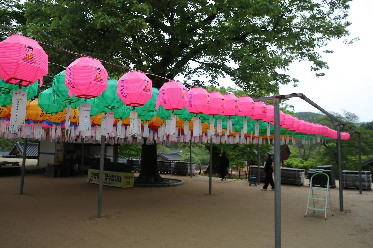 MG0A0616_новый размер.JPG