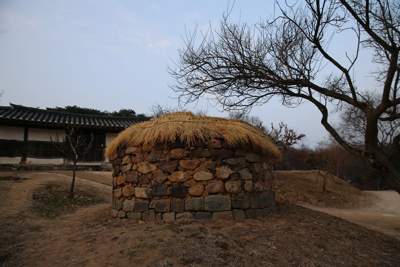 MG0A6497_новый размер.JPG