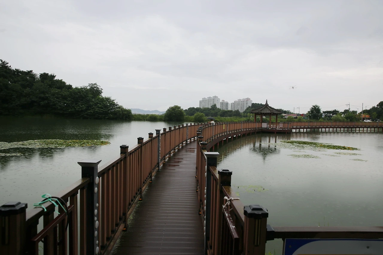 MG0A6183_новый размер_exposure.JPG