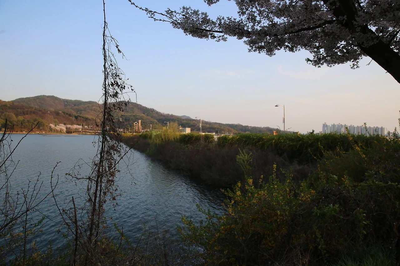 MG0A8903_новый размер.JPG