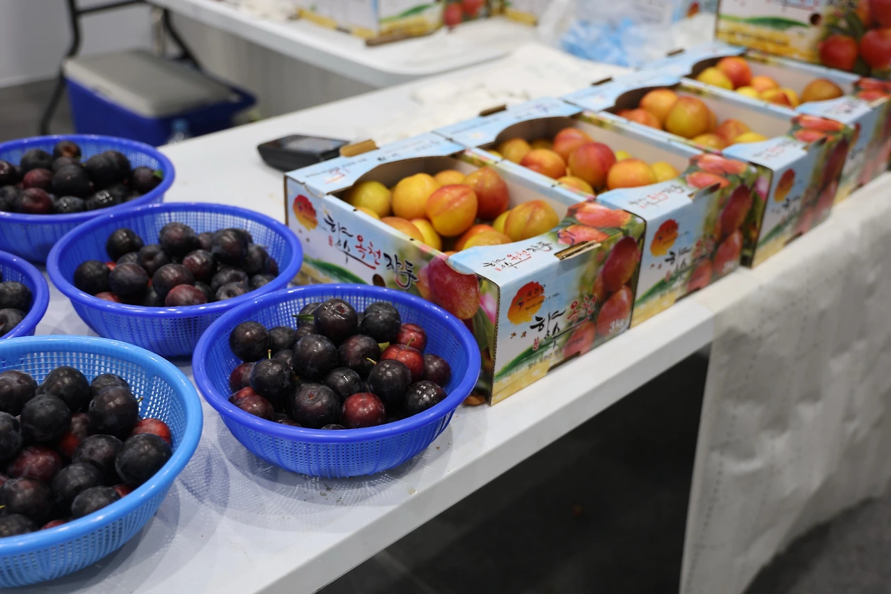 0R5A0307_новый размер.JPG