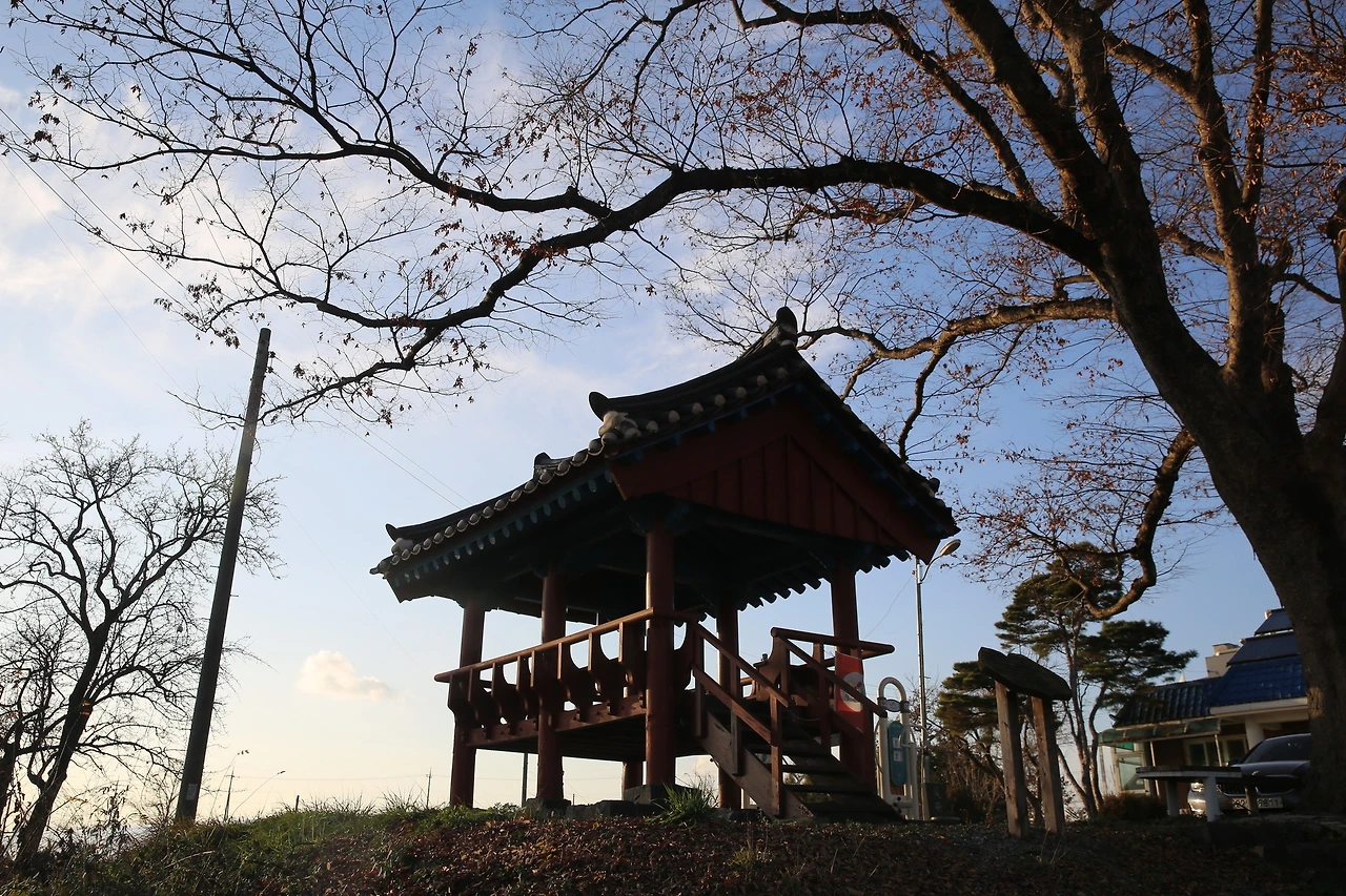 MG0A2945_новый размер.JPG