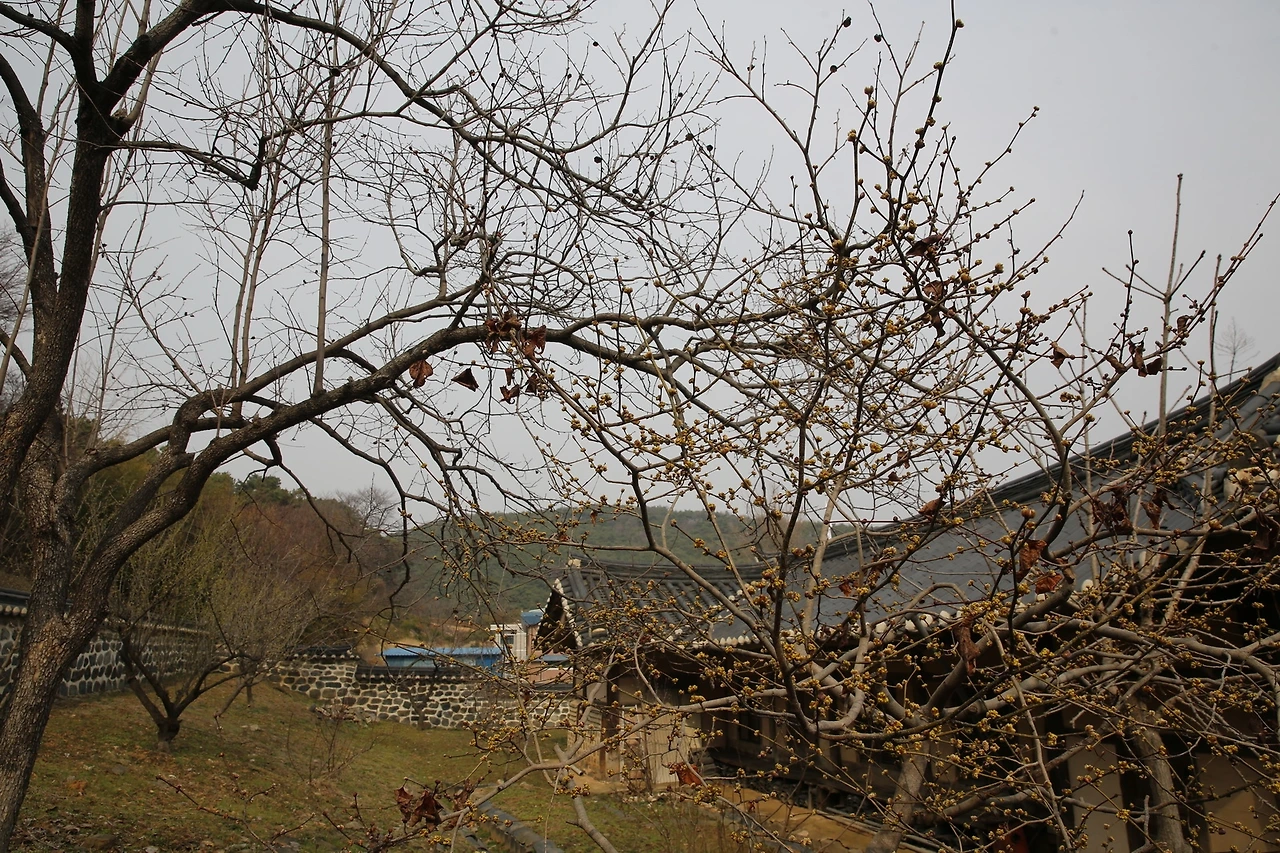 MG0A2167_новый размер.JPG