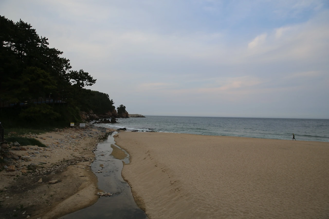 MG0A0581_новый размер.JPG