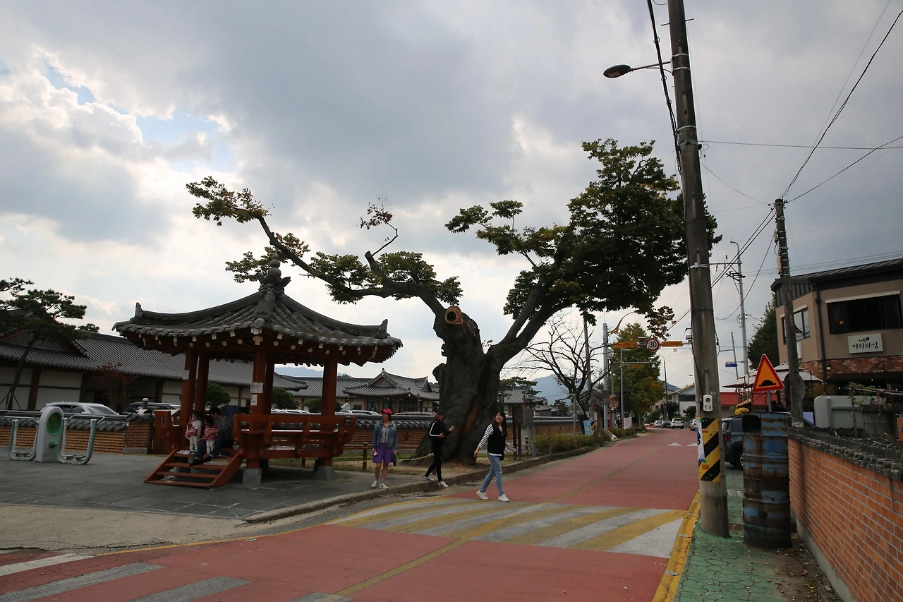 MG0A6475_новый размер.JPG