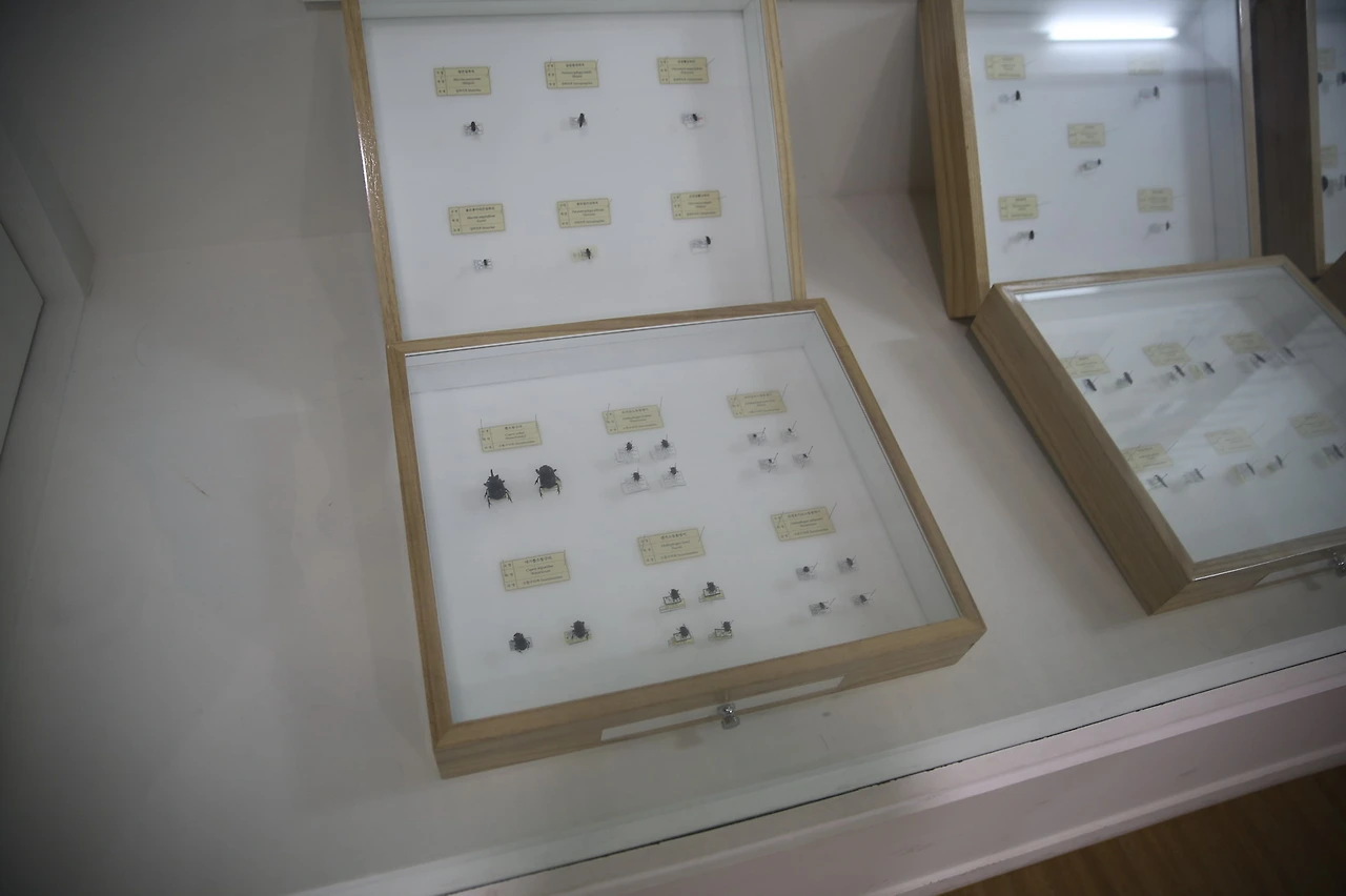 MG0A9959_resize - 복사본.JPG