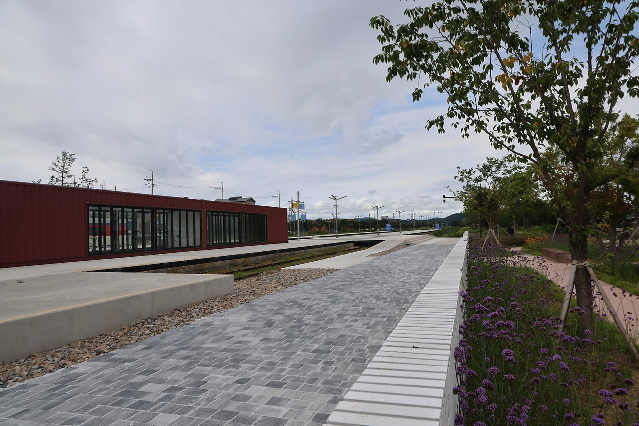 0R5A8969_новый размер.JPG