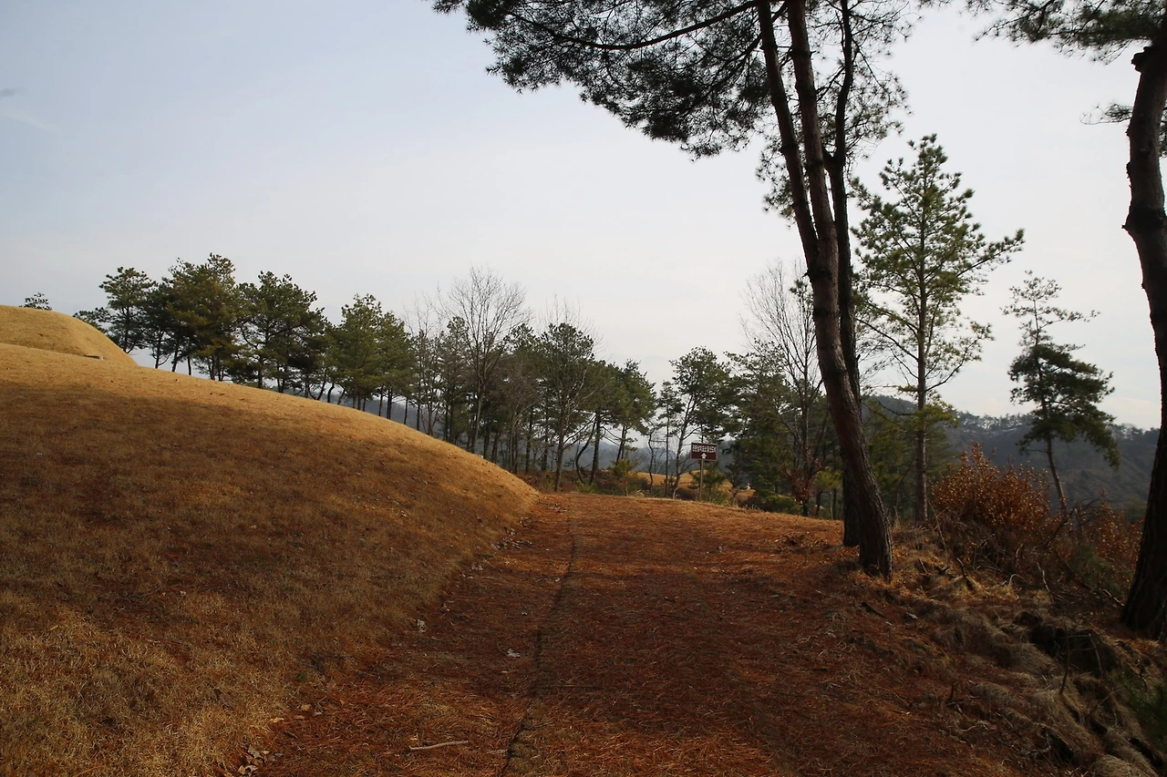 MG0A1515_новый размер.JPG