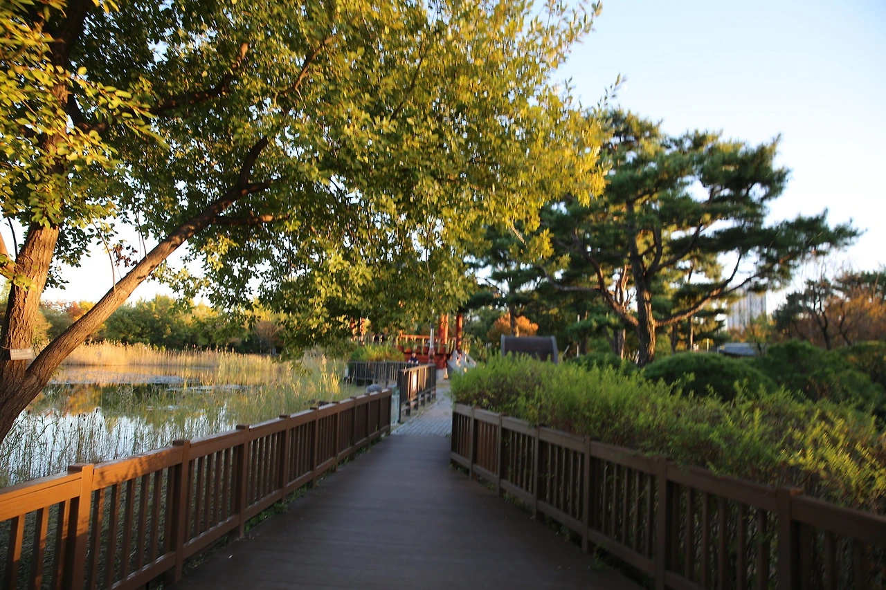 MG0A7240_новый размер.JPG