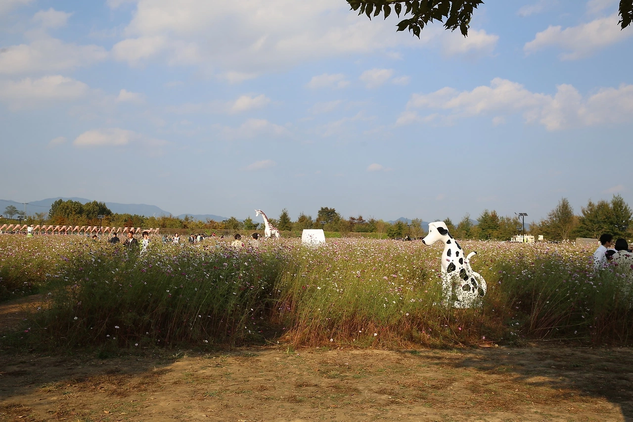 MG0A6544_новый размер.JPG