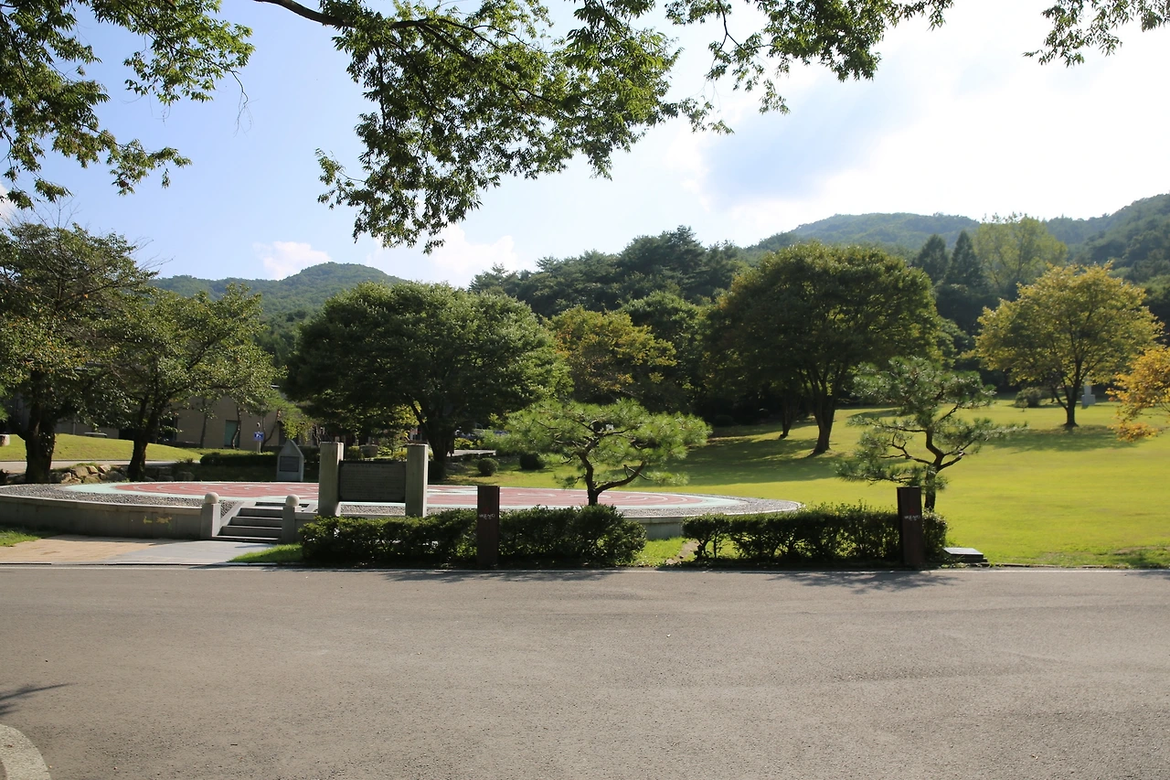 MG0A0514_новый размер.JPG