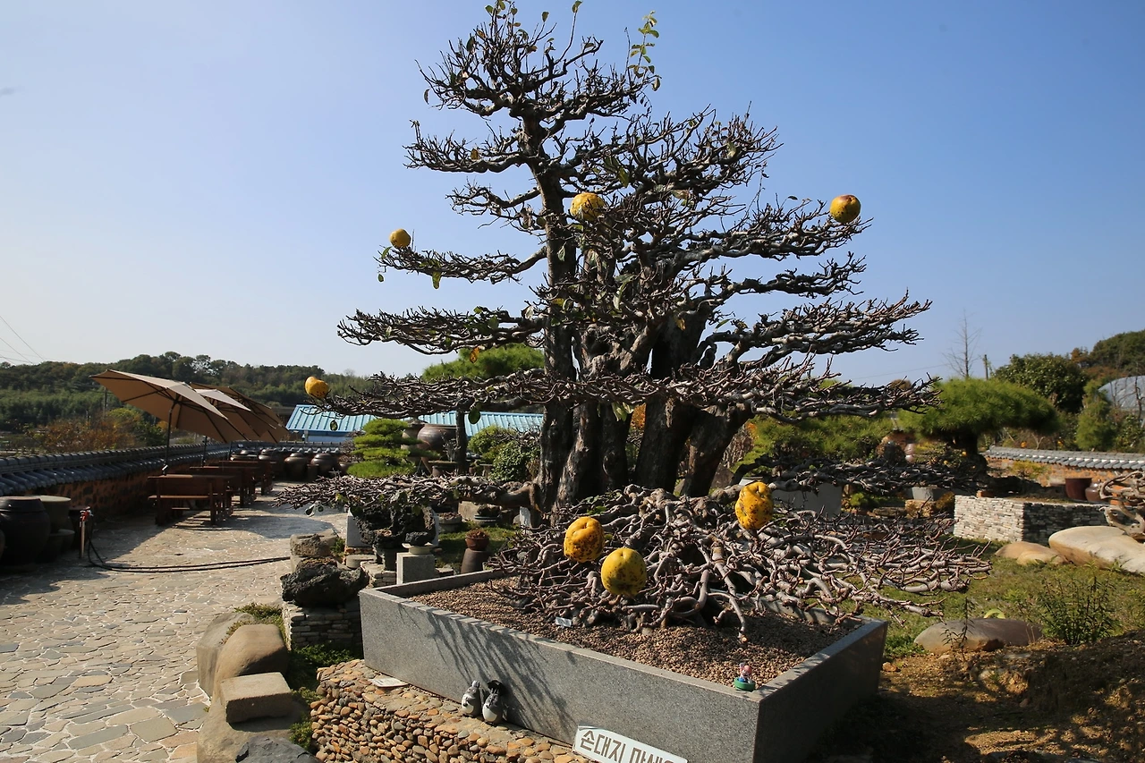 MG0A8502_новый размер.JPG